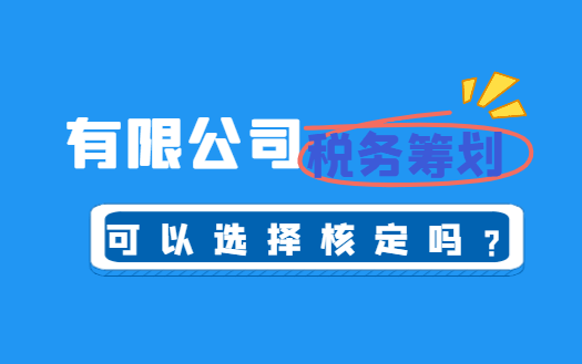 有限公司税务筹划可以选择核定吗？
