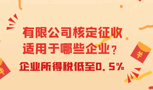有限公司核定征收适用于哪些企业？