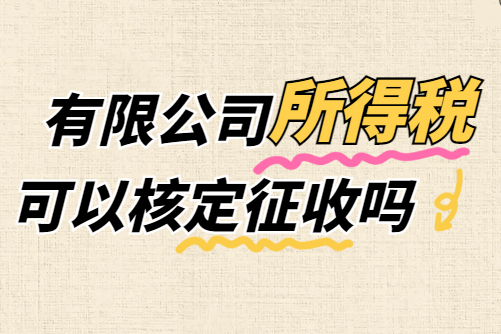 有限公司所得税可以核定征收吗？