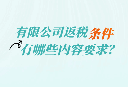 有限公司返税条件有哪些内容要求？  