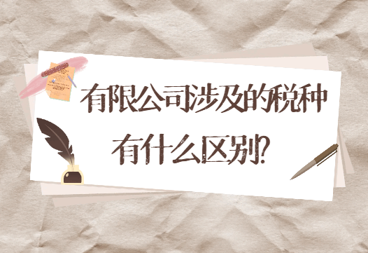 有限公司返税涉及的税种有什么区别呢？