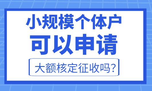 小规模个体户可以申请大额核定征收吗？