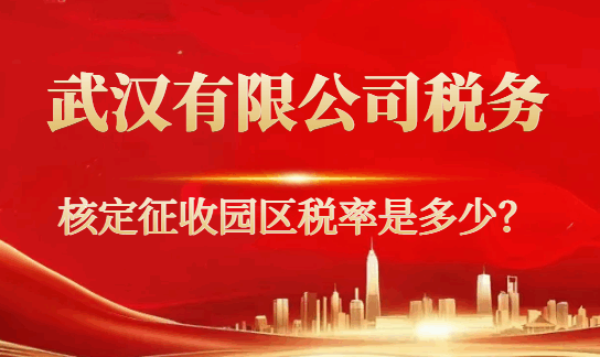 武汉有限公司税务核定征收园区税率是多少？