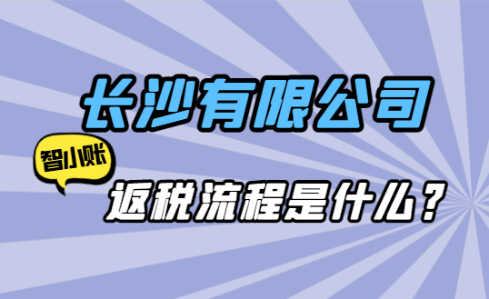 长沙有限公司返税流程是什么？