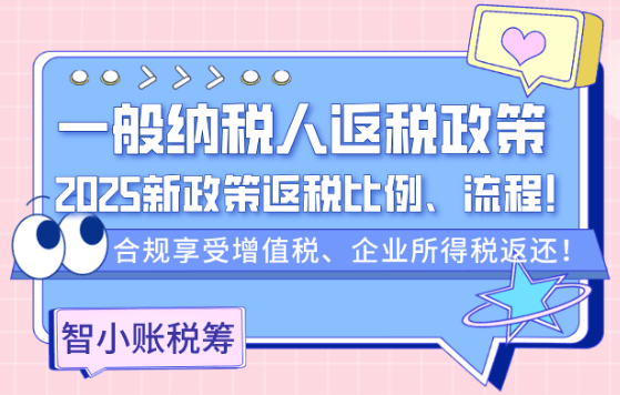 2025年一般纳税人返税政策！