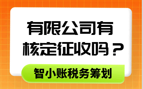 有限公司有核定征收吗？