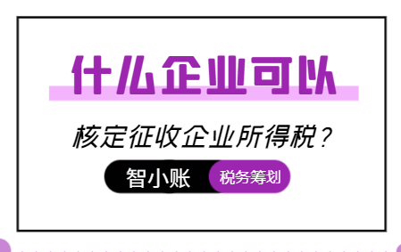 什么企业可以核定征收企业所得税？