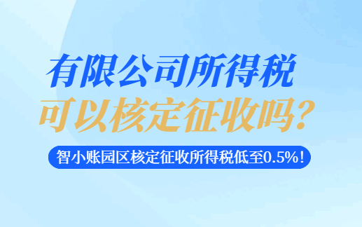 有限公司所得税可以核定征收吗？