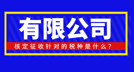 有限公司核定征收针对的税种是什么？