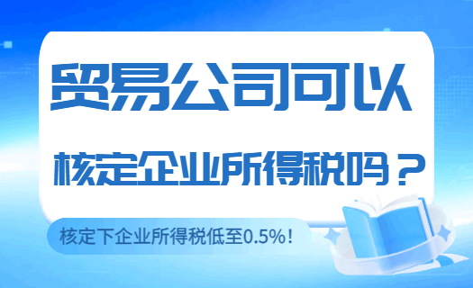 贸易公司可以核定企业所得税吗?