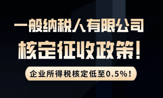 一般纳税人有限公司核定征收政策！