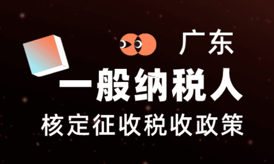 广东一般纳税人核定征收政策！