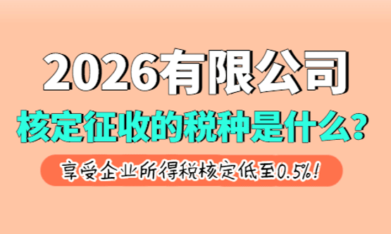 2026有限公司核定征收的税种是什么？