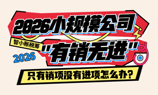 2026小规模公司只有销项没有进项怎么办？