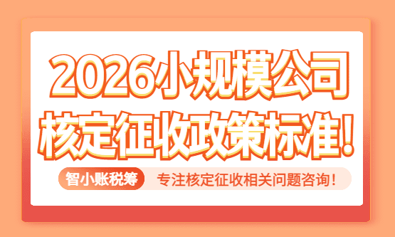 2026小规模公司核定征收政策标准！