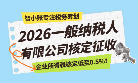 2026一般纳税人有限公司的核定征收政策！