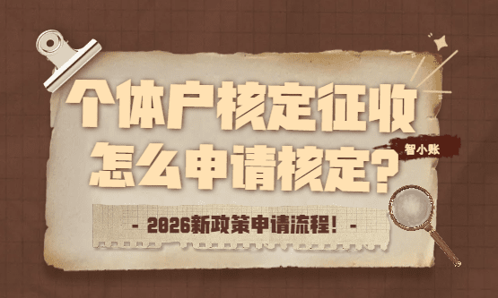 个体户核定征收怎么申请核定？2026新政策申请流程！