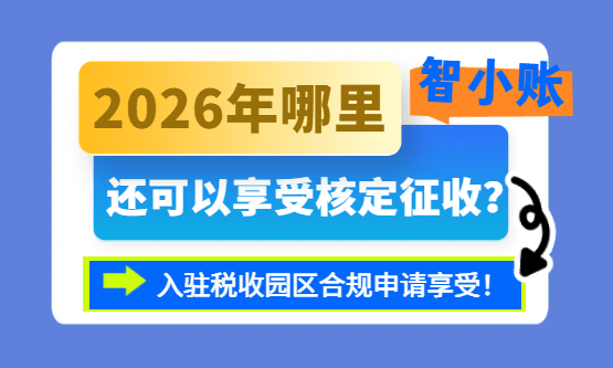 2026年哪里还可以享受核定征收政策？