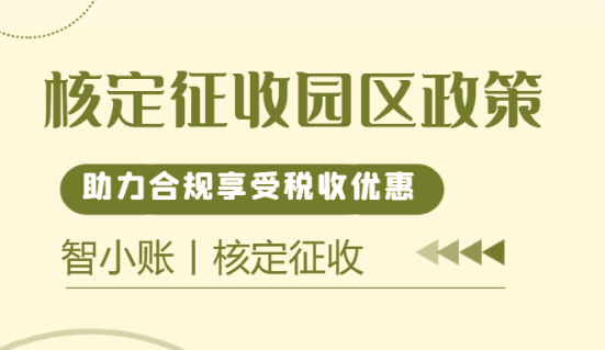 2026年哪里还可以享受核定征收政策？